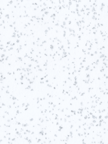 Искра Снега, 0901 FG